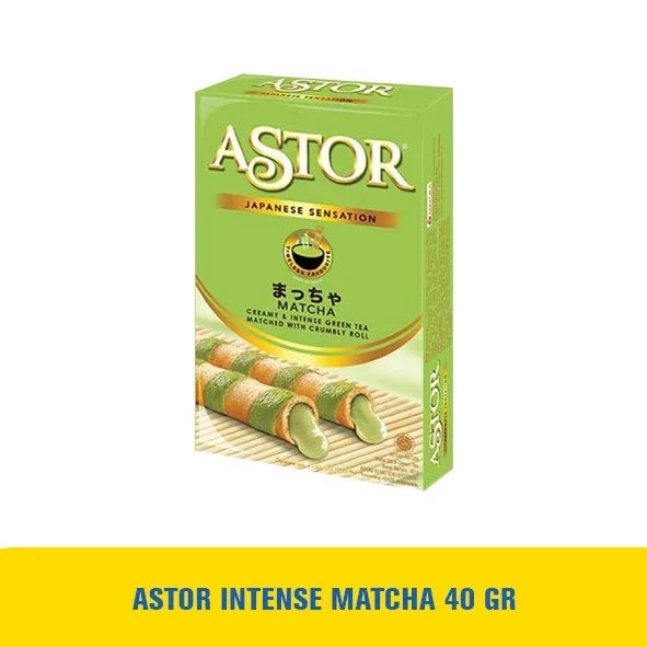 ASTOR Snack Chocolate Filled Wafer Stick (SG)
