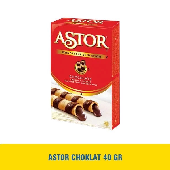 ASTOR Snack Chocolate Filled Wafer Stick (SG)