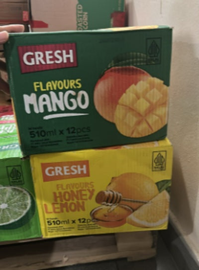 GRESH / GRESH DUO Flavours Drink Bundle 1 CTN So Fresh (SG)